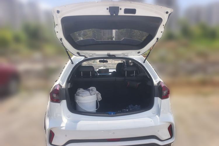 Used Geometry EX3 Kung Fu Cow 2021 Tough Bull Cow Trunk