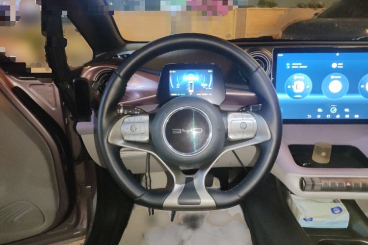 Used BYD Dolphin 2021 405 km Free Version Steering Wheel