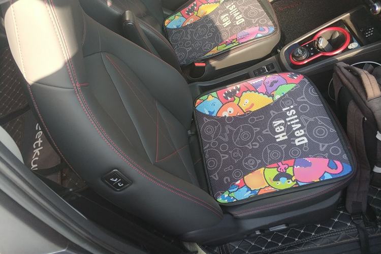 Used Chery QQ Little Ant 2023 408km Love Edition NMC