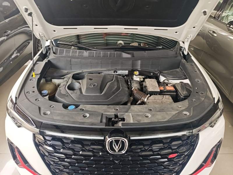 Used CHANGAN CS35PLUS 2022 Blue Whale NE 1.4T DCT Prestige Model — 19