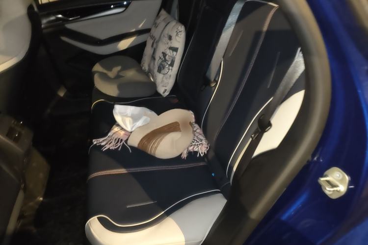 Used BYD Qin PLUS 2021 DM-i 120KM Flagship Model Left Rear Seat