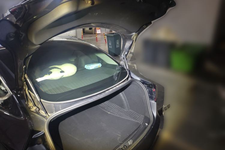 Used Tesla Model 3 2020 Standard Range Rear-Wheel Drive Upgraded Version