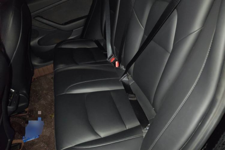 Used Tesla Model 3 2021 Performance High-Performance All-Wheel-Drive Version Left Rear Seat