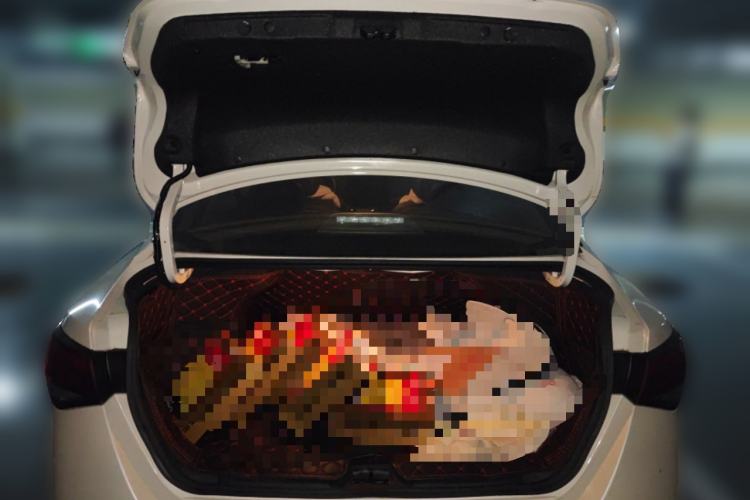 Used Nissan Sylphy 2022 1.6L XL CVT Enjoyment Edition Trunk