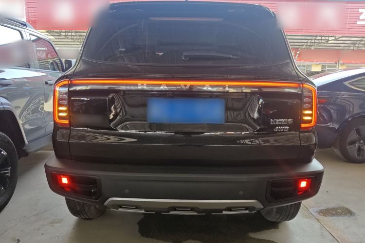 Used Haval DARGO 2024 2.0T DCT Chinese Rural Dog Edition
