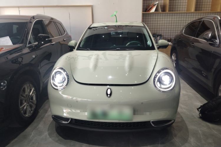 Used ORA Good Cat 2024 401 km Range Luxury Version 135 kW
