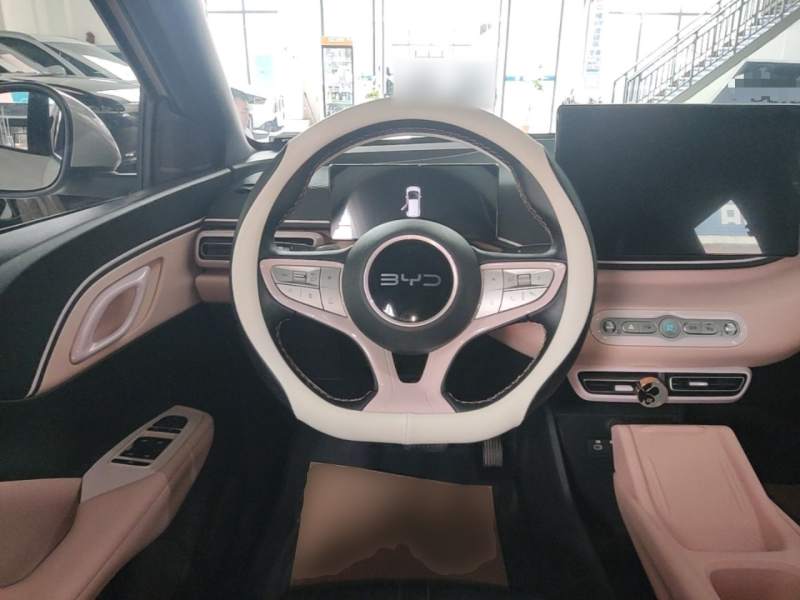 Used BYD Seagull 2025 Smart Drive Version 305 km Freedom Edition — 10