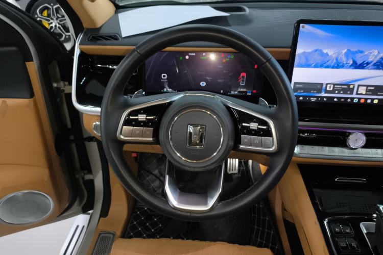 Used Tank 500 New Energy 2023 Hi4-T