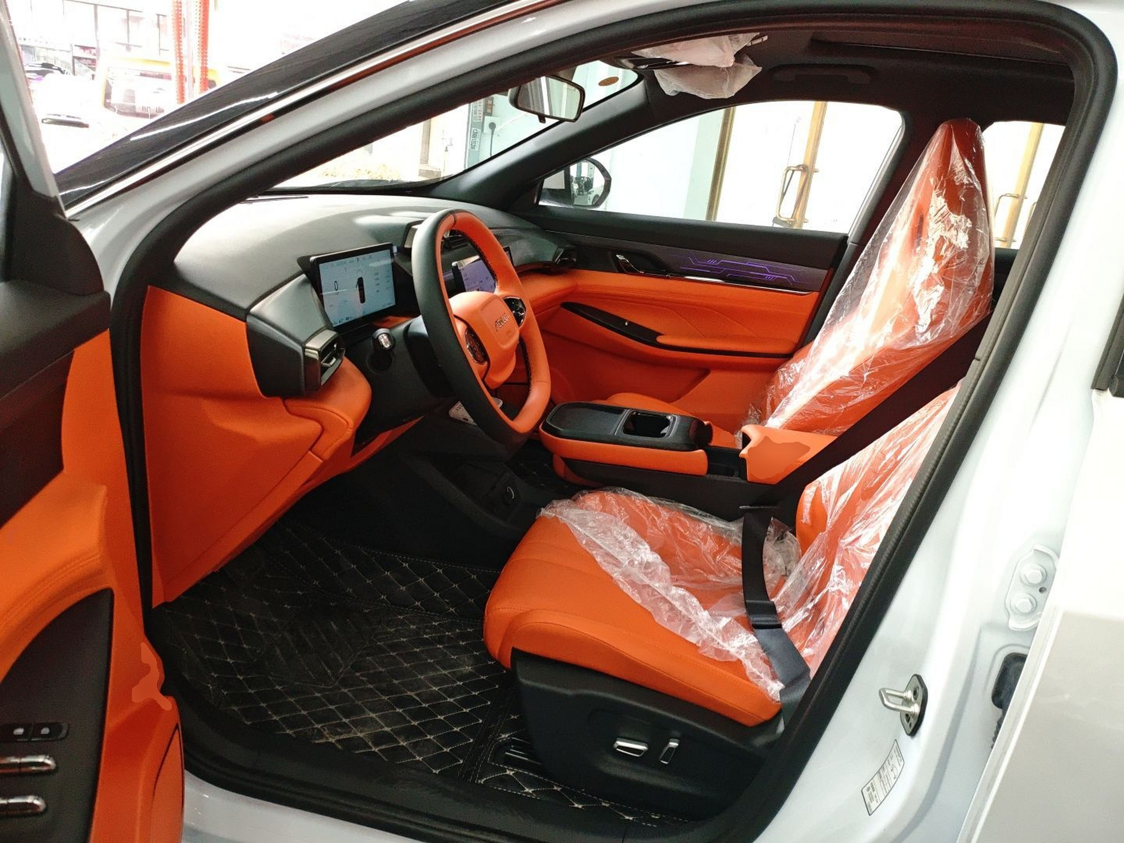 Interior delantero