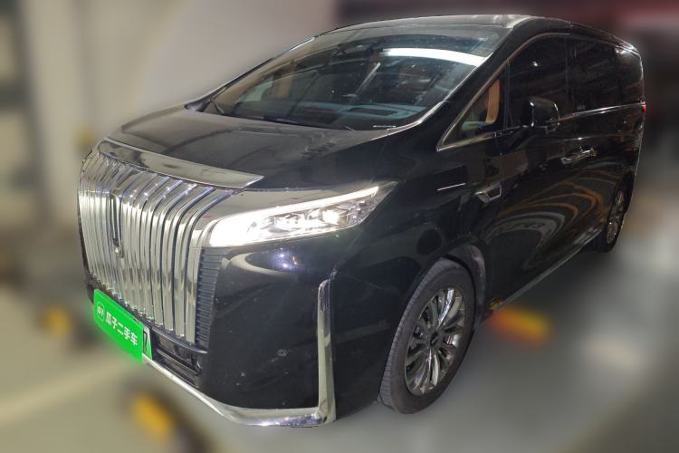 Used Wey Gaoshan 2023 Four-Wheel Drive Flagship Edition