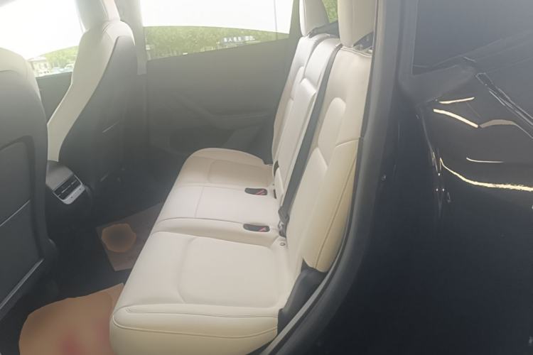 Used Tesla Model Y 2021 Standard Range Rear-Wheel Drive Version
