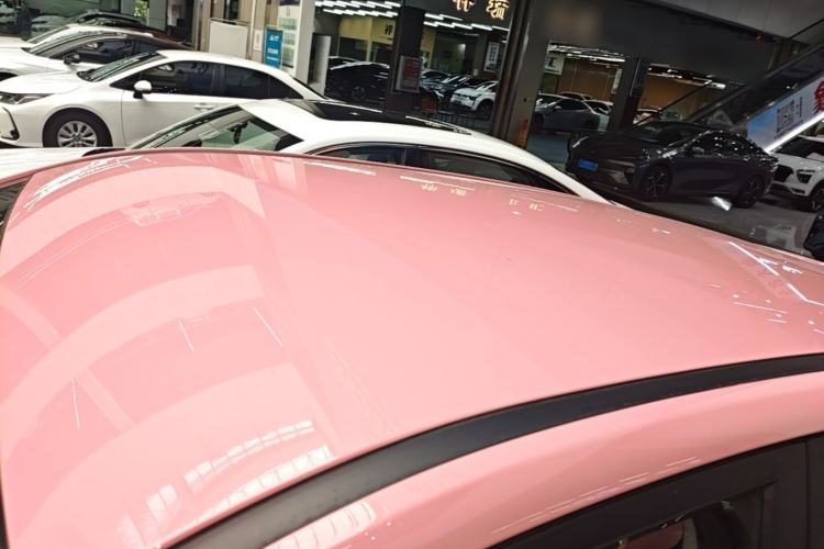 Used NETA V 2021 Witch Edition Roof