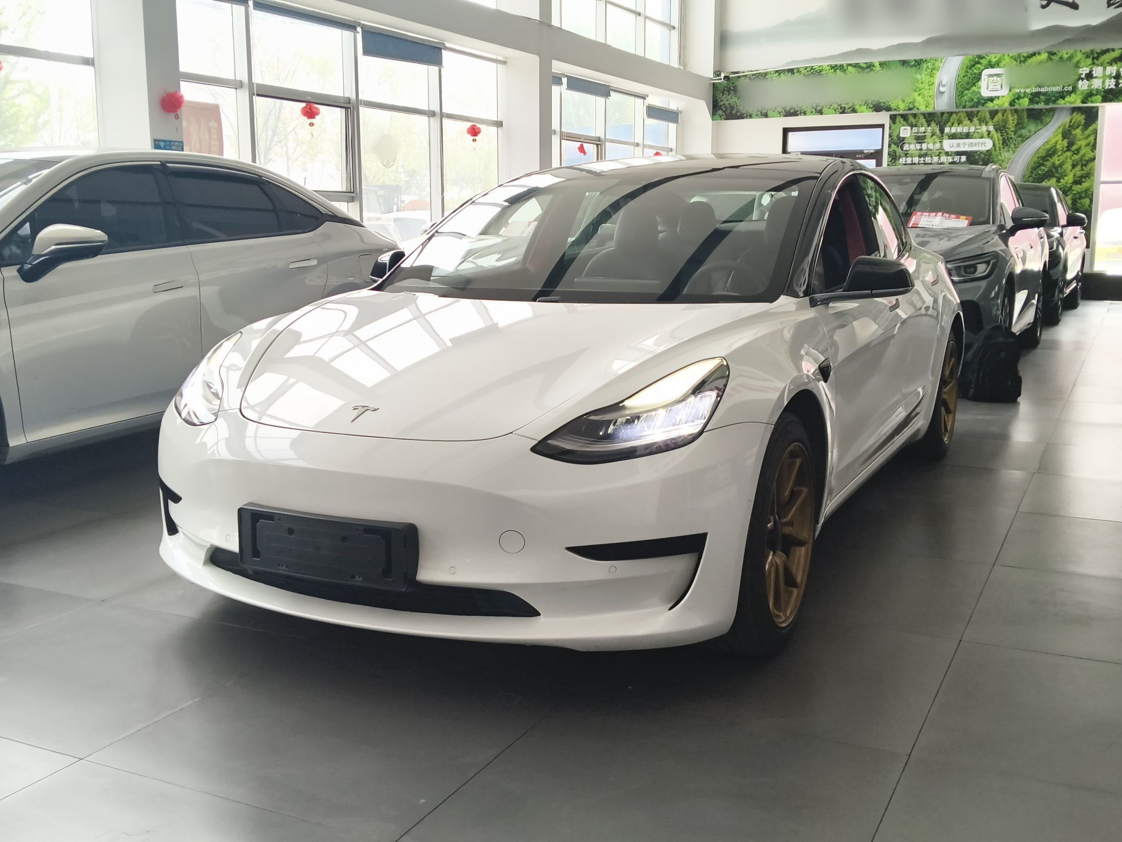 Parte inferior delantera