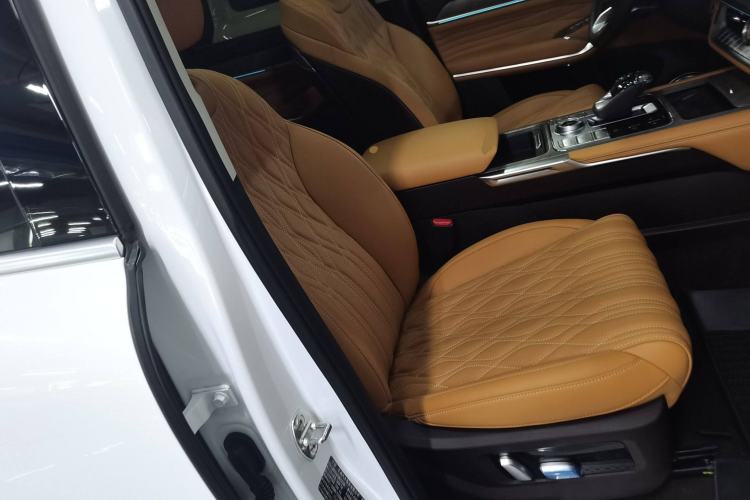 Used Tank 500 New Energy 2025 Hi4-Z Right Front Seat