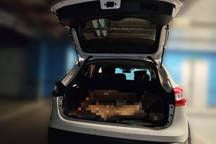 Used Nissan Qashqai 2016 2.0L CVT Elite Edition Trunk