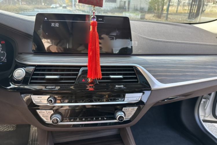 Used BMW 5 Series New Energy 2020 530Le Luxury Package
