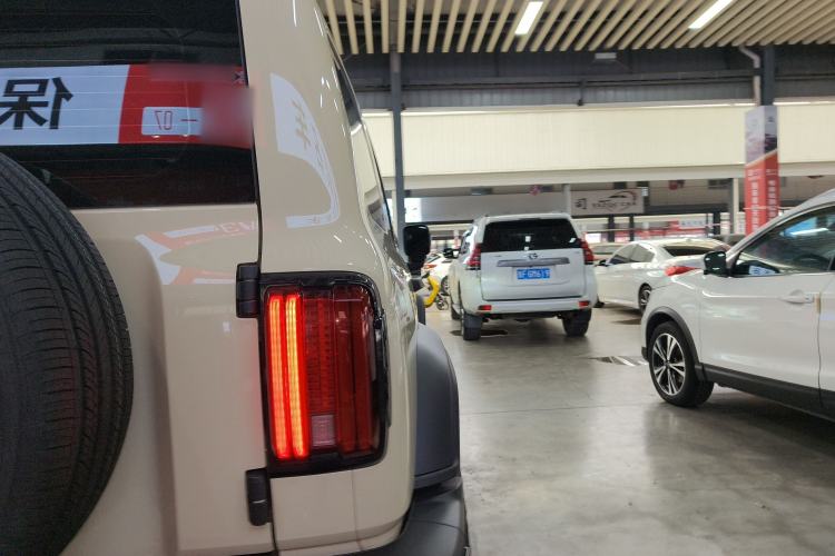 Used Tank 300 2025 2.4T Diesel Version
