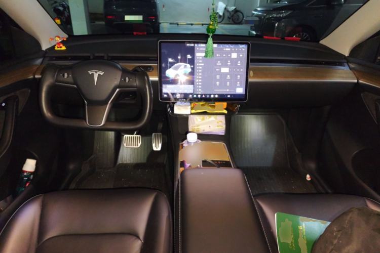 Used Tesla Model Y 2021 Standard Range Rear-Wheel Drive Version
