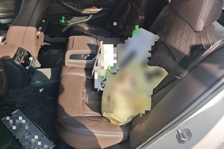 Used BMW 5 Series New Energy 2019 530Le Luxury Package
