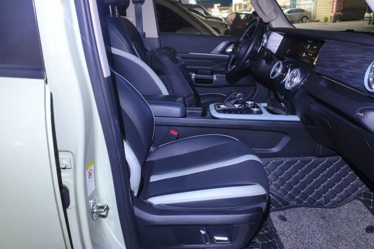 Used Tank 300 2021 City Edition 2.0T—Truly Stylish
