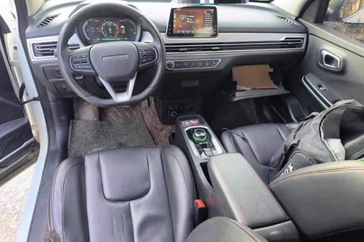 Used Dayun Yuehu 2021 32.85 kWh Two-Wheel-Drive Sprite Version