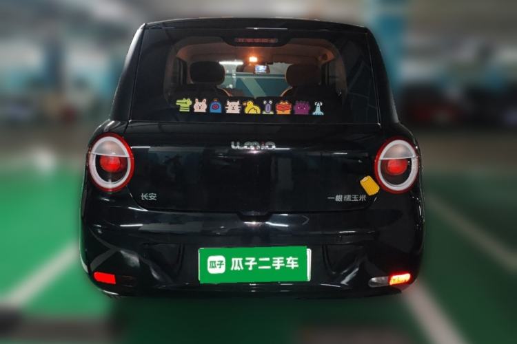 Used Qiyuan Lumin 2023 205km Xiangqin Version
