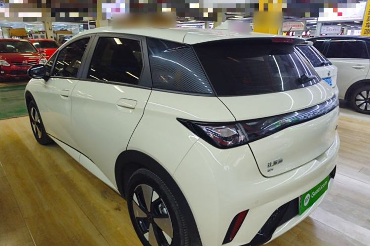 Used BYD Dolphin 2023 420 km Fashion Edition Rear Left 45 Deg