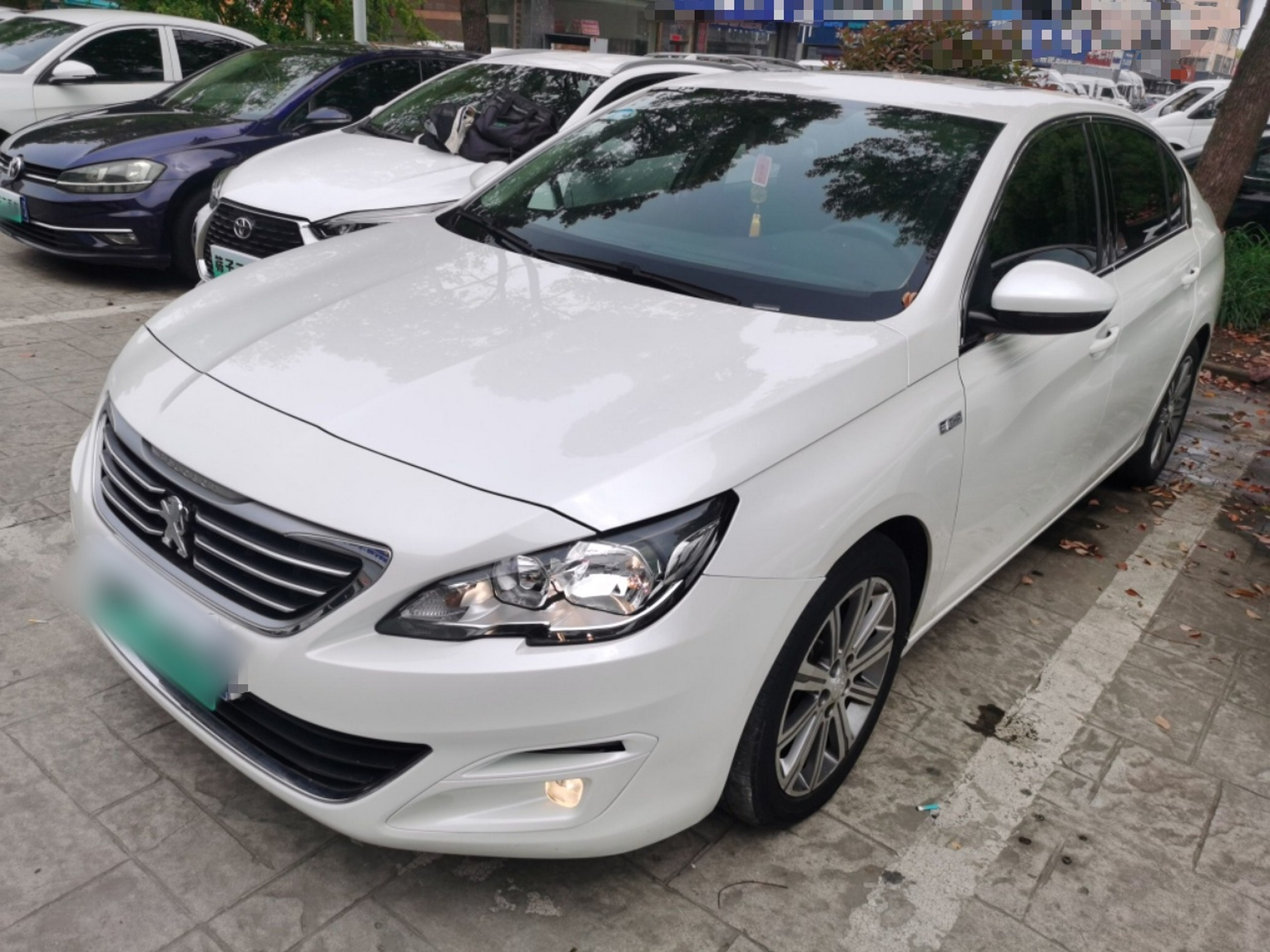 Parte inferior delantera