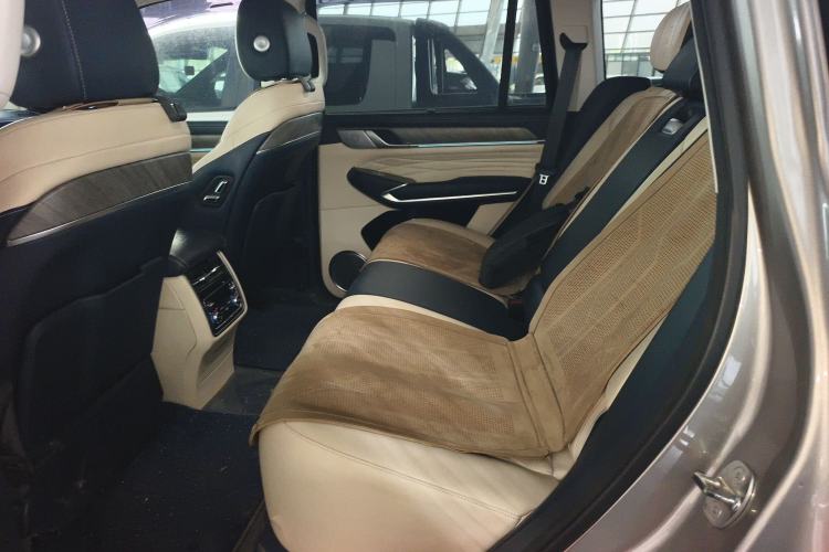 Used Tank 500 2022 3.0T Sport Edition "Creation" Version 5-Seater Left Rear Seat