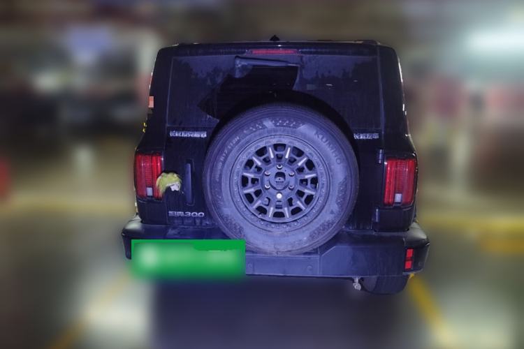 Used Tank 300 2024 2.0T Conqueror