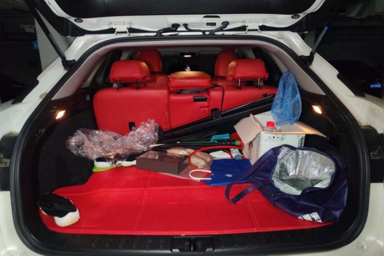 Used Lexus RX 2016 300 Two-Wheel Drive Elite Version China V Standard