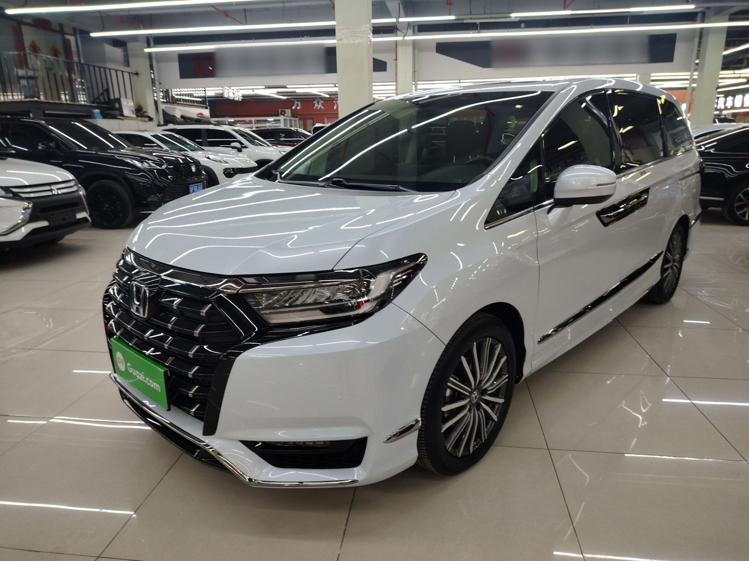 Parte inferior delantera