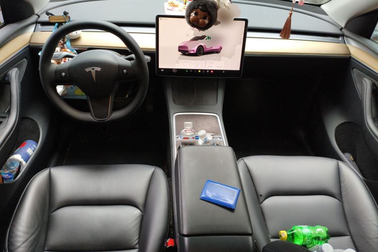 Used Tesla Model Y 2022 Long-Range All-Wheel-Drive Version