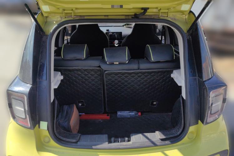 Used SOL E10X 2022 Flower Fairy Design Four-Leaf Clover Trunk