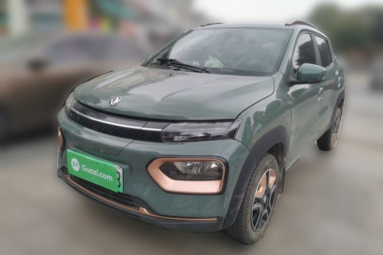 Used Dongfeng NAMMI EX1 2023 PRO Light Wind Edition Lightning Model