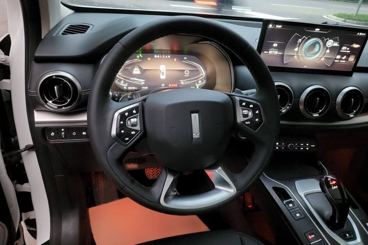 Used Wey VV6 2021 2.0T Two-Wheel Drive Smart Protection+