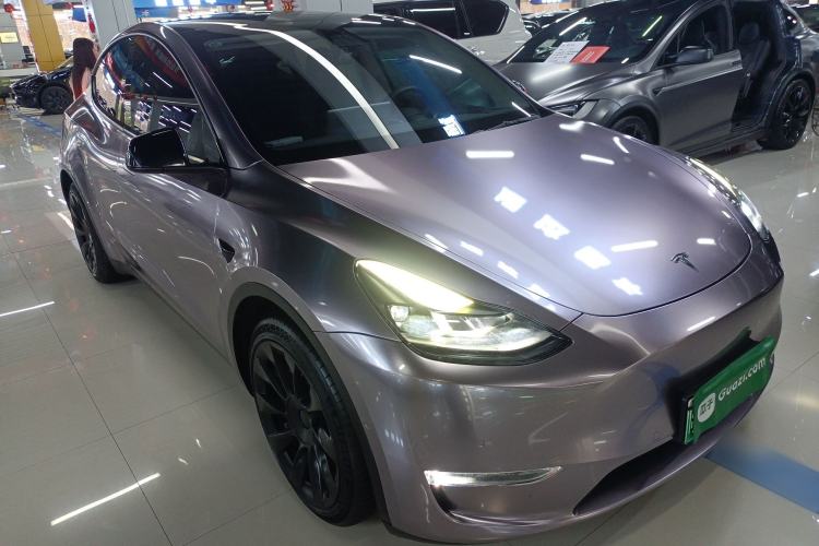 Used Tesla Model Y 2021 Standard Range Rear-Wheel Drive Version
