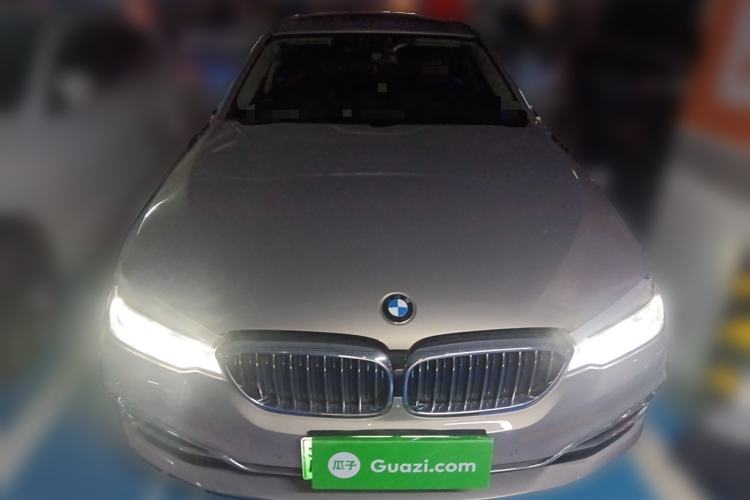 Used BMW 5 Series New Energy 2019 530Le Luxury Package