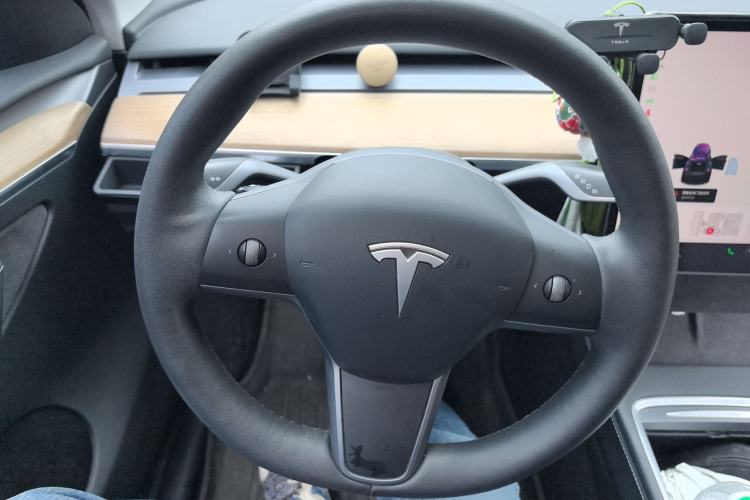 Used Tesla Model Y 2022 Rear-Wheel-Drive Version