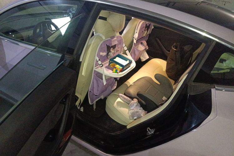 Used Tesla Model 3 2020 Standard Range Rear-Wheel Drive Upgraded Version