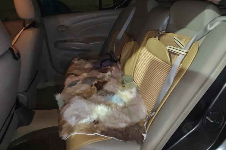 Used Nissan Sunny 2014 1.5XE Manual Comfort Edition
