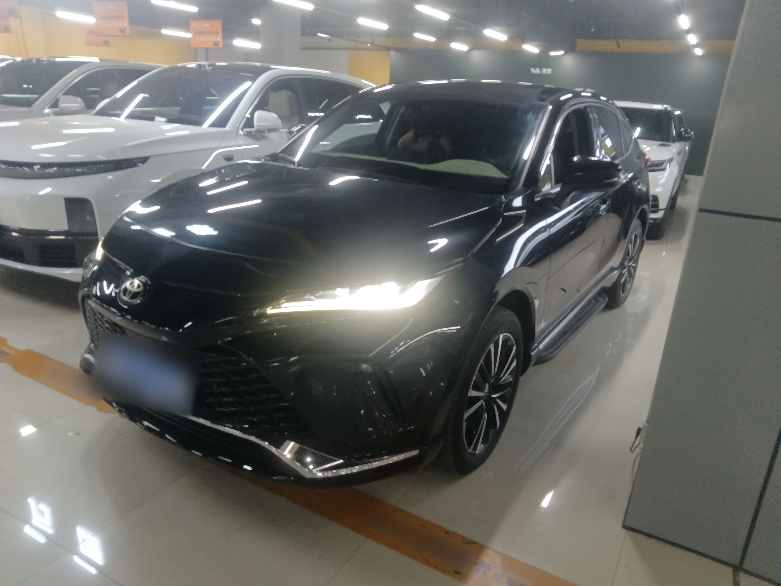 Parte inferior delantera