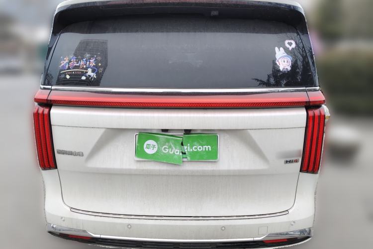 Used Wey Gaoshan 2025 Four-Wheel Drive Alpine 8
