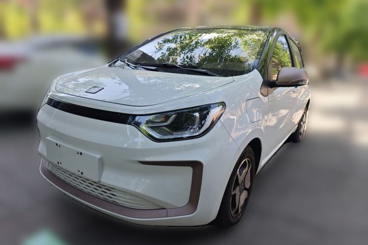 Used SOL E10X 2022 Flower Fairy Style Baby's Breath