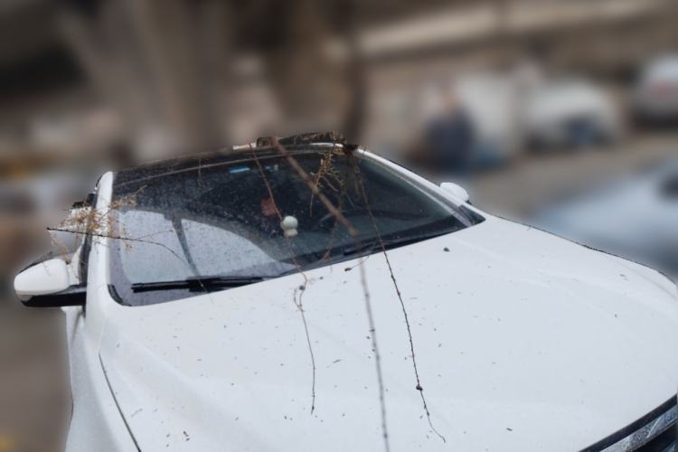 Used Roewe 350 2014 1.5L Manual Xunchi Edition