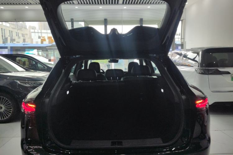 Used VOYAH COURAGE 2024 Four-Wheel Drive Global Edition