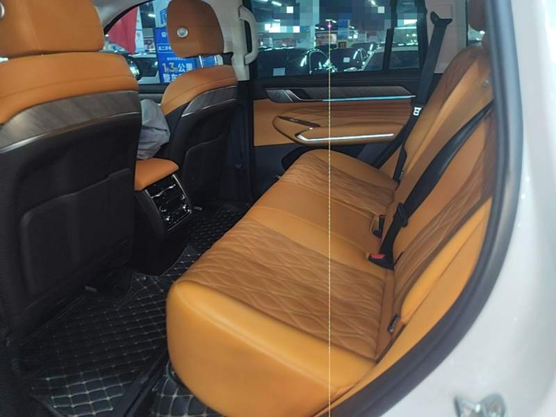 Used Tank 500 2022 3.0T Business Edition “Creation Realm” Design 5-Seater — 16