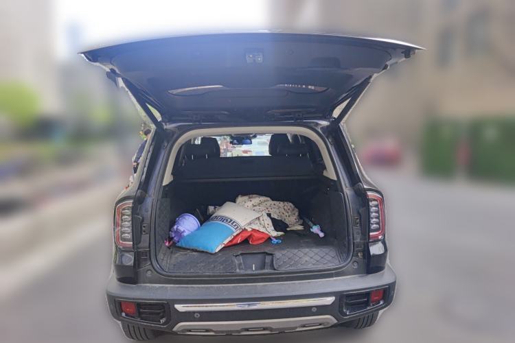 Used Haval DARGO 2021 2.0T DCT 4x4 Chinese Rural Dog Edition Trunk