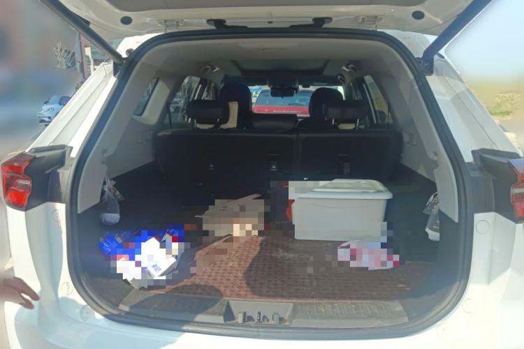 Used Chery Tiggo 8 PRO 2024 Champion Edition 290T Two-Wheel Drive Shining Version 5 Seats