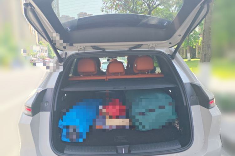 Used Li Auto L6 2024 Max
